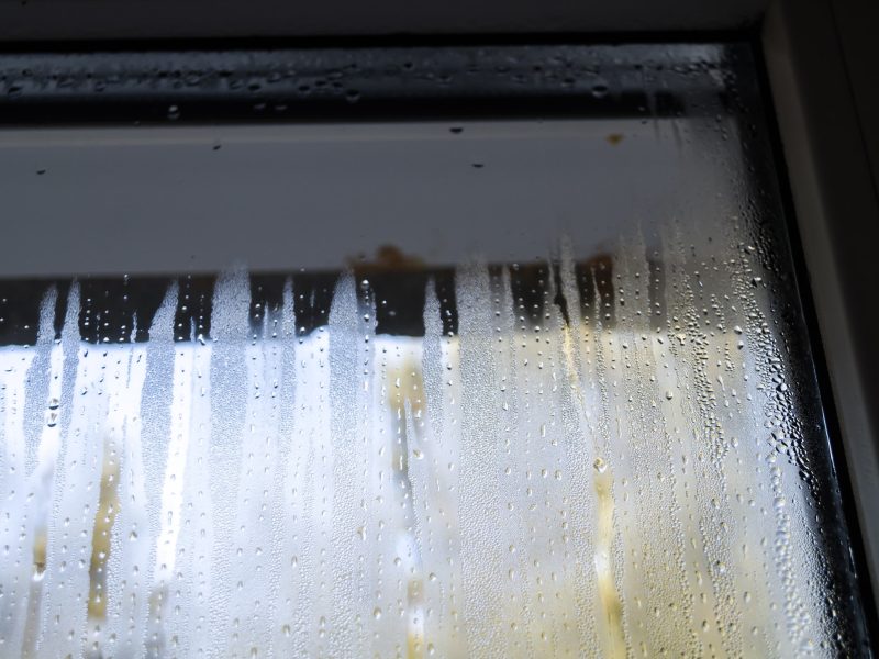 How To Reduce Condensation